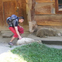 Thumbnail r004.jpg 