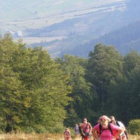 Thumbnail r011.jpg 