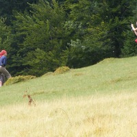 Thumbnail r032.jpg 
