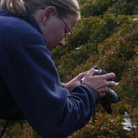 Thumbnail r041.jpg 