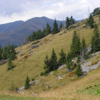 Thumbnail r059.jpg 