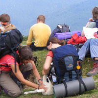 Thumbnail r071.jpg 