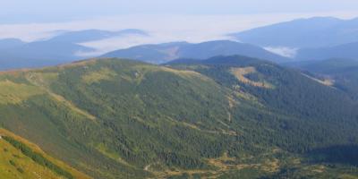 Thumbnail r087.jpg 