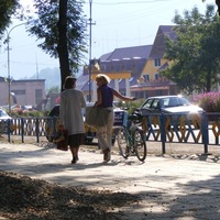 Thumbnail r104.jpg 