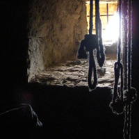 Thumbnail r110.jpg 