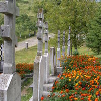 Thumbnail r112.jpg 