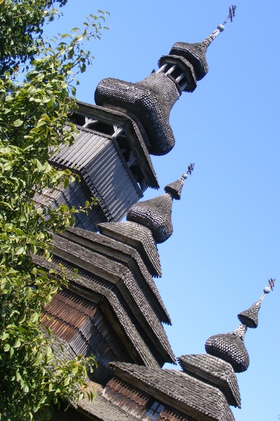 r005.jpg 