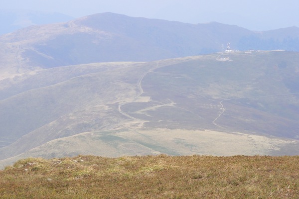 r013.jpg 