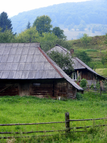 r019.jpg 