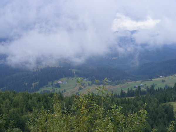 r024.jpg 