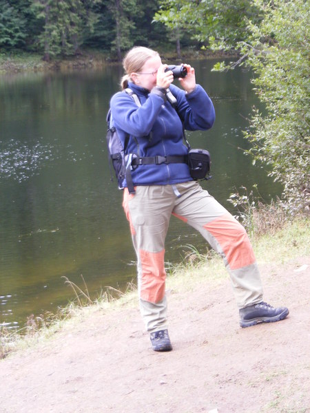 r029.jpg 