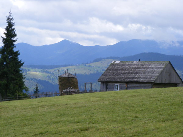 r031.jpg 