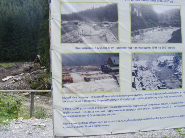 r037.jpg 