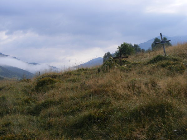 r039.jpg 