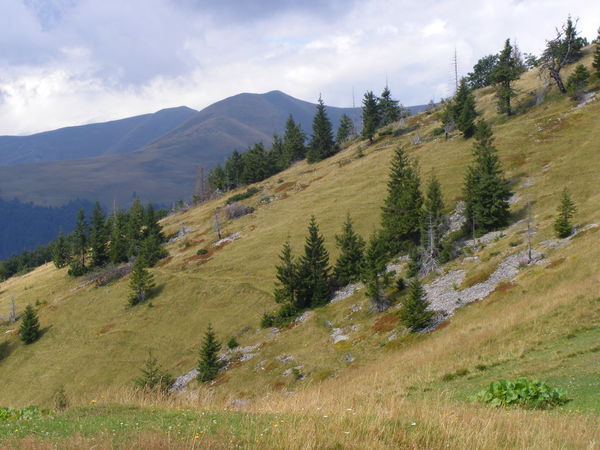r059.jpg 