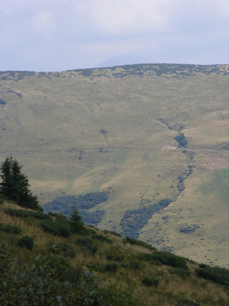 r073.jpg 
