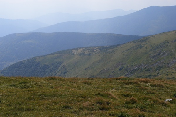 r074.jpg 