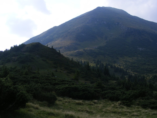 r081.jpg 