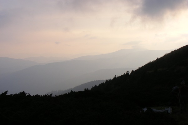 r084.jpg 