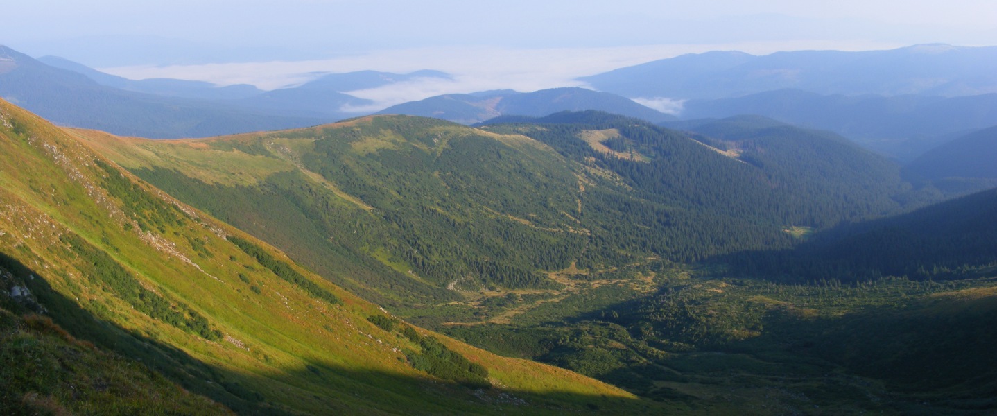 r087.jpg 