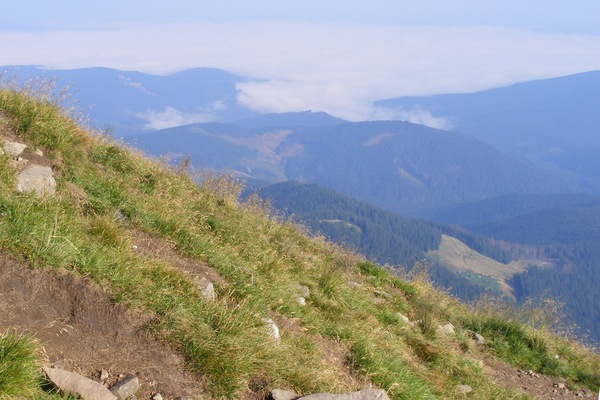 r091.jpg 