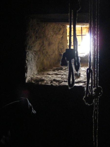 r110.jpg 
