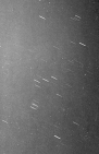 Orion