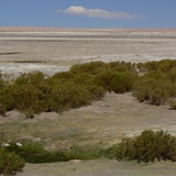 ata49_5