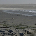 Thumbnail bin45.jpg 