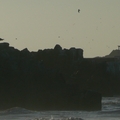 Thumbnail bin50.jpg 