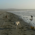 Thumbnail bin53.jpg 