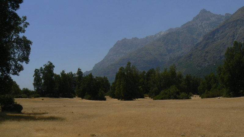 cr07