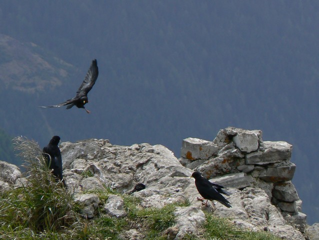 P1050564