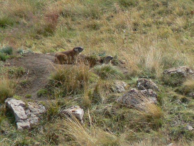 P1050671