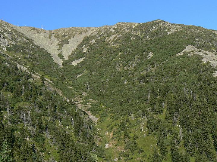 P1050210
