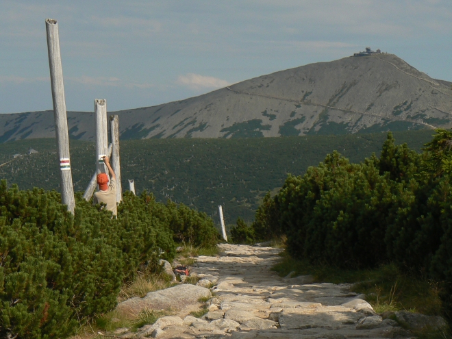 kr51.jpg 