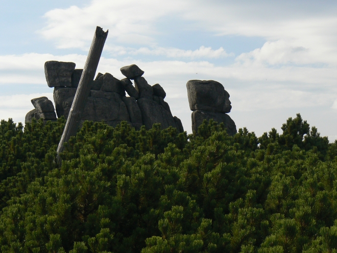 kr54.jpg 