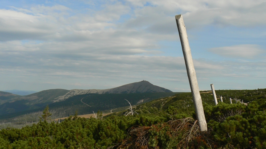 kr55.jpg 
