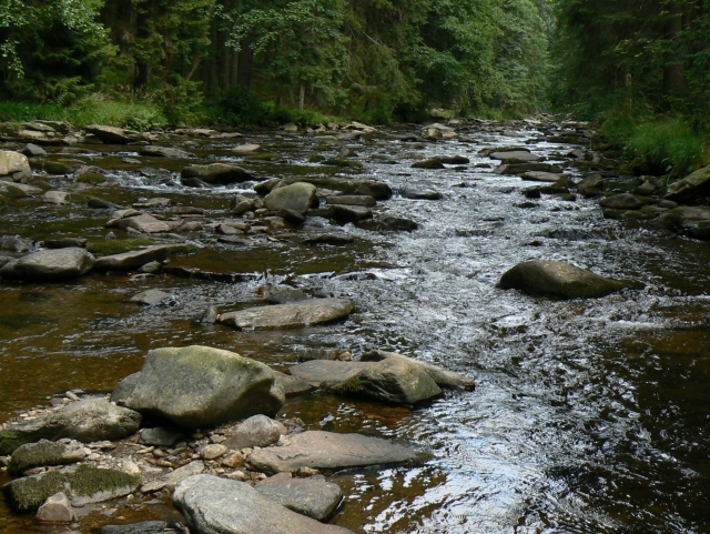 o02.jpg 