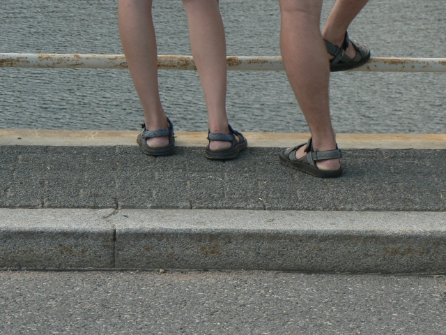 o09.jpg 
