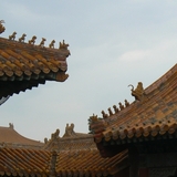 c20