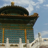 c33
