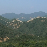 c85