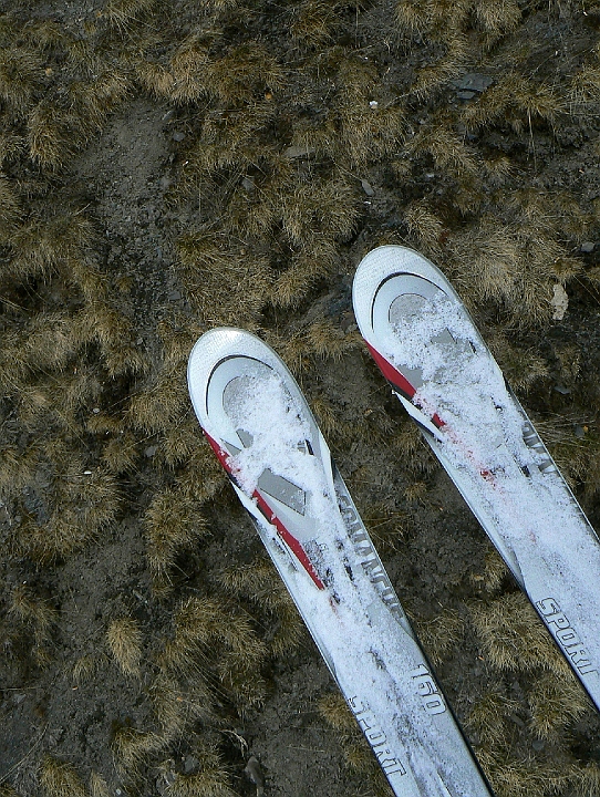 r26