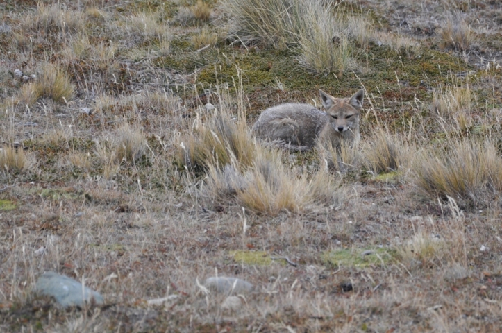 Scaled image tf0010.jpg 