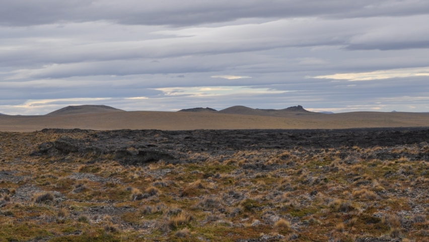 Scaled image tf0011.jpg 