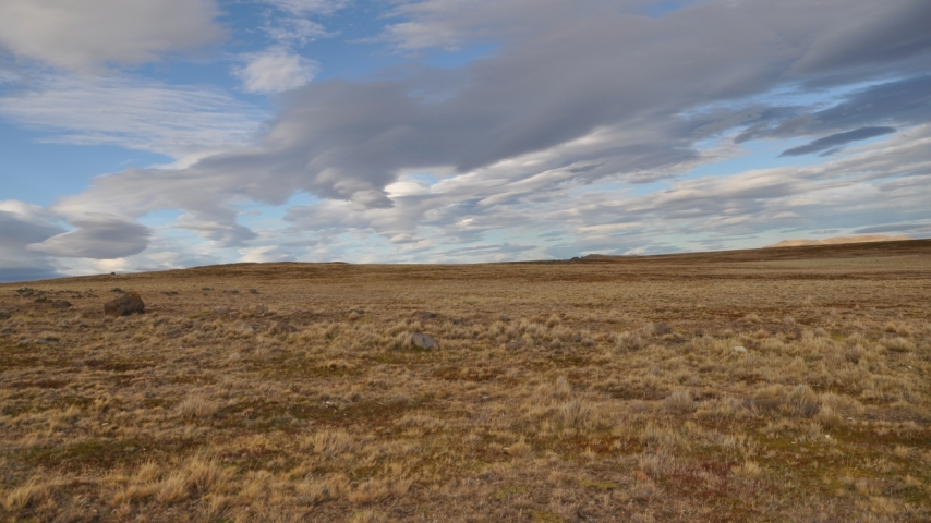 Scaled image tf0024.jpg 