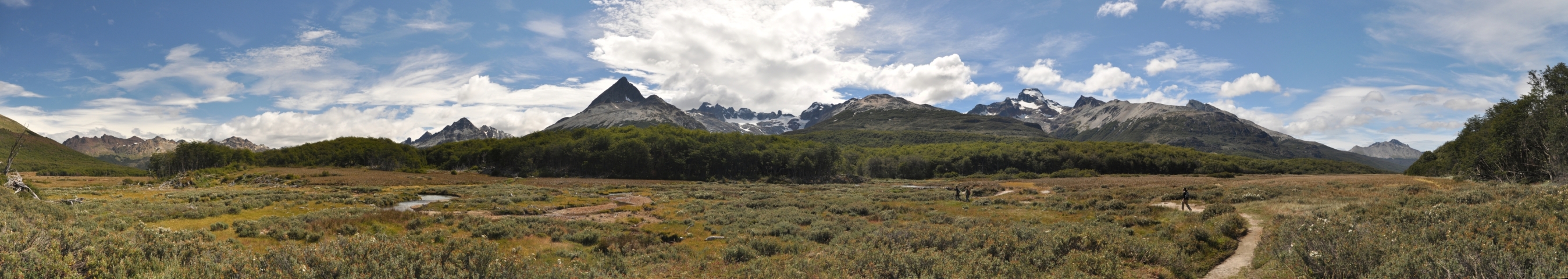 Scaled image tf0045.jpg 