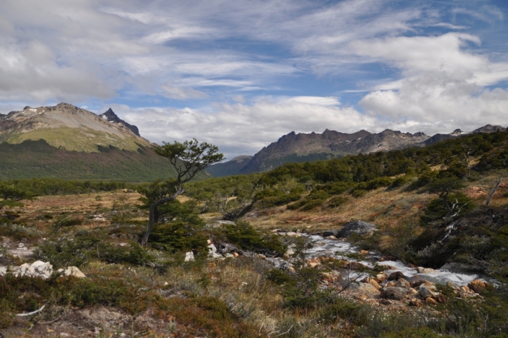 Scaled image tf0052.jpg 