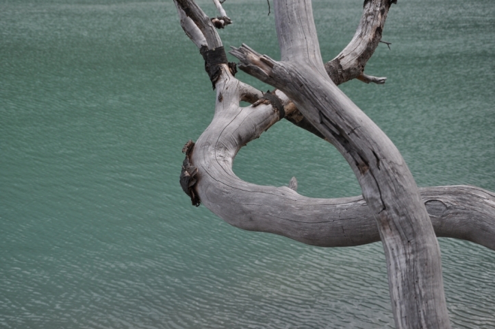 Scaled image tf0057.jpg 